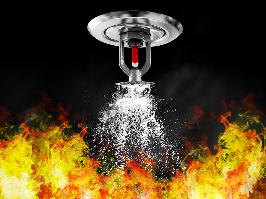Fire sprinkler system for business
